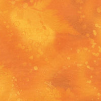 Fossil Fern - Mandarine 528-AA
