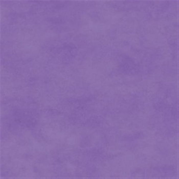 Shadow Play Violet Tulip V60S